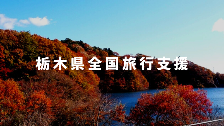 栃木県全国旅行支援いちご一会とちぎ旅の使い方 宿泊 日帰り旅行割引 地域クーポン リョコウイキタイ