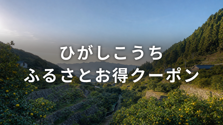 晩秋の朝、段々に連なる高知県東部・中芸地域の柚子畑と山並み。ひがしこうちふるさとお得クーポンを解説する記事のアイキャッチ画像