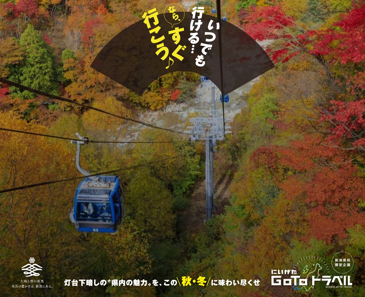 にいがた Go To トラベル 新潟県民限定企画(新潟県観光協会の特設ページより)