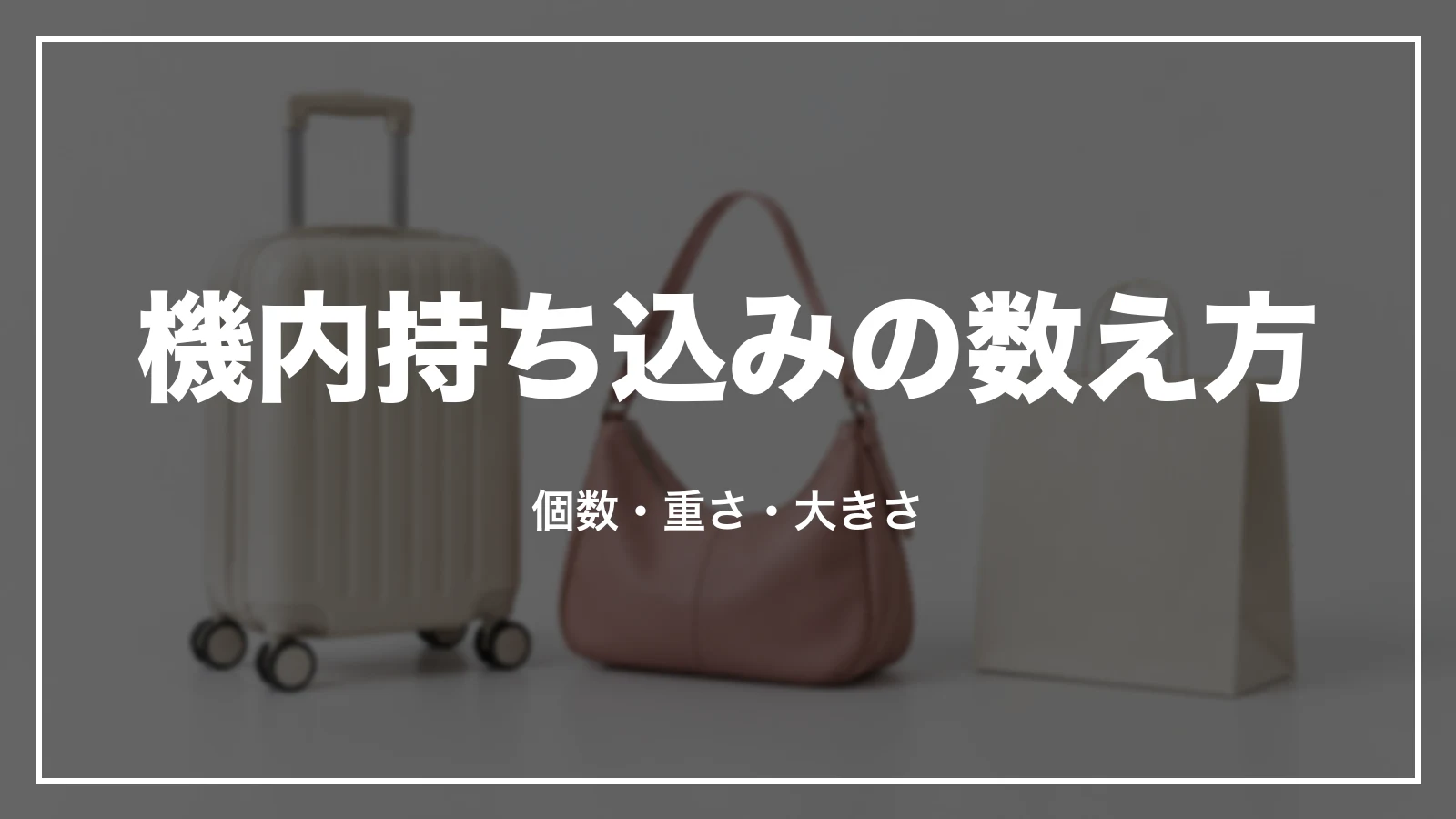 ピーチの機内持ち込みの数え方。個数・重さ・大きさ