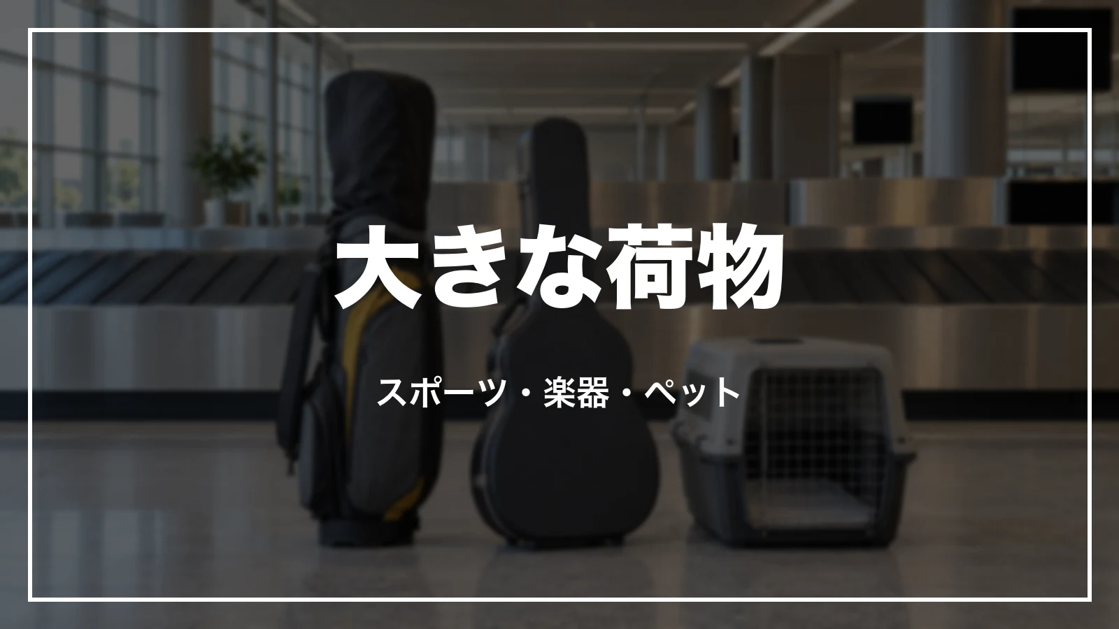 スカイマークで大きな荷物を運ぶ時。スポーツ・楽器・ペット